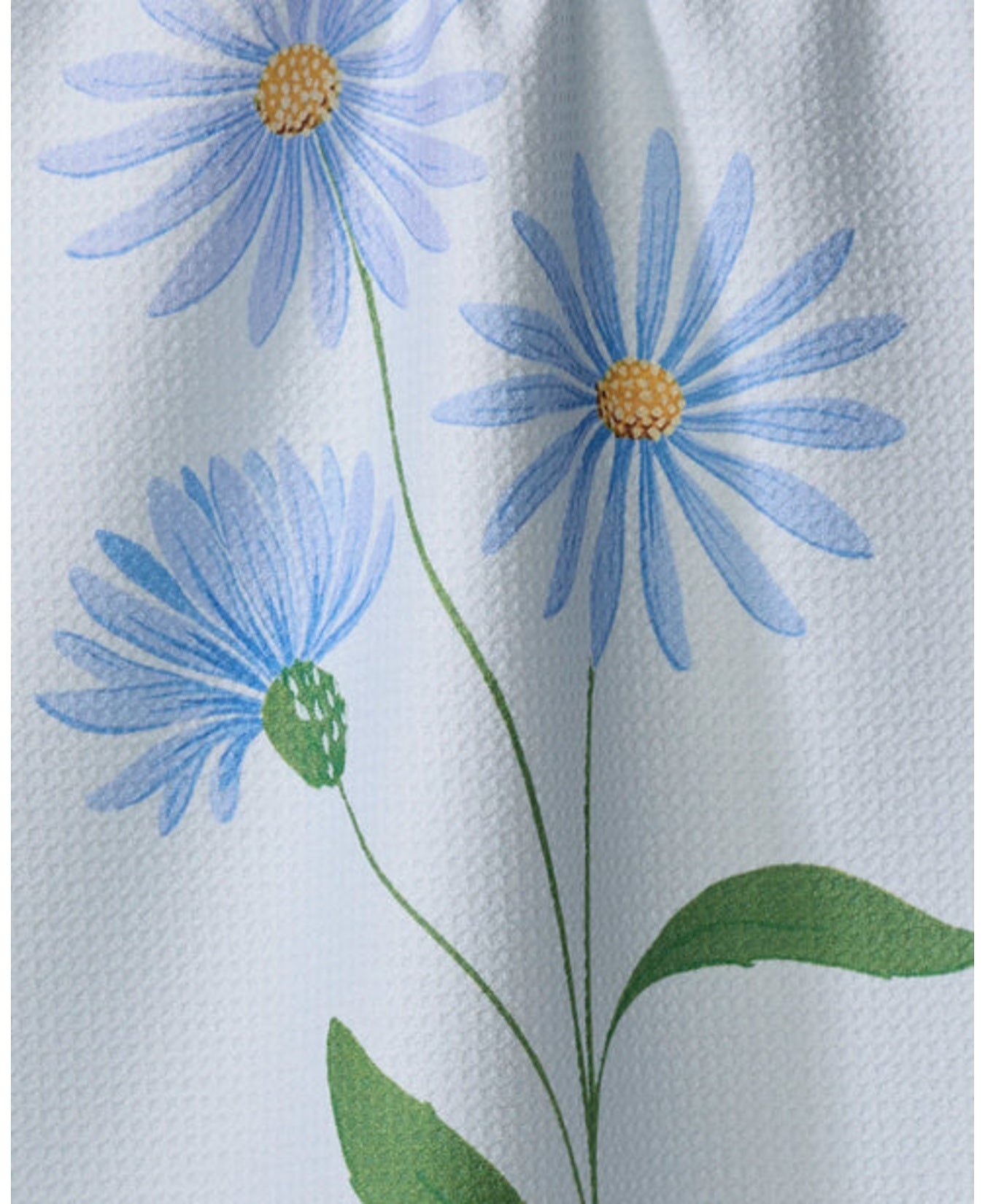 SeptemberAster_Geometry_TT-MF-september-aster