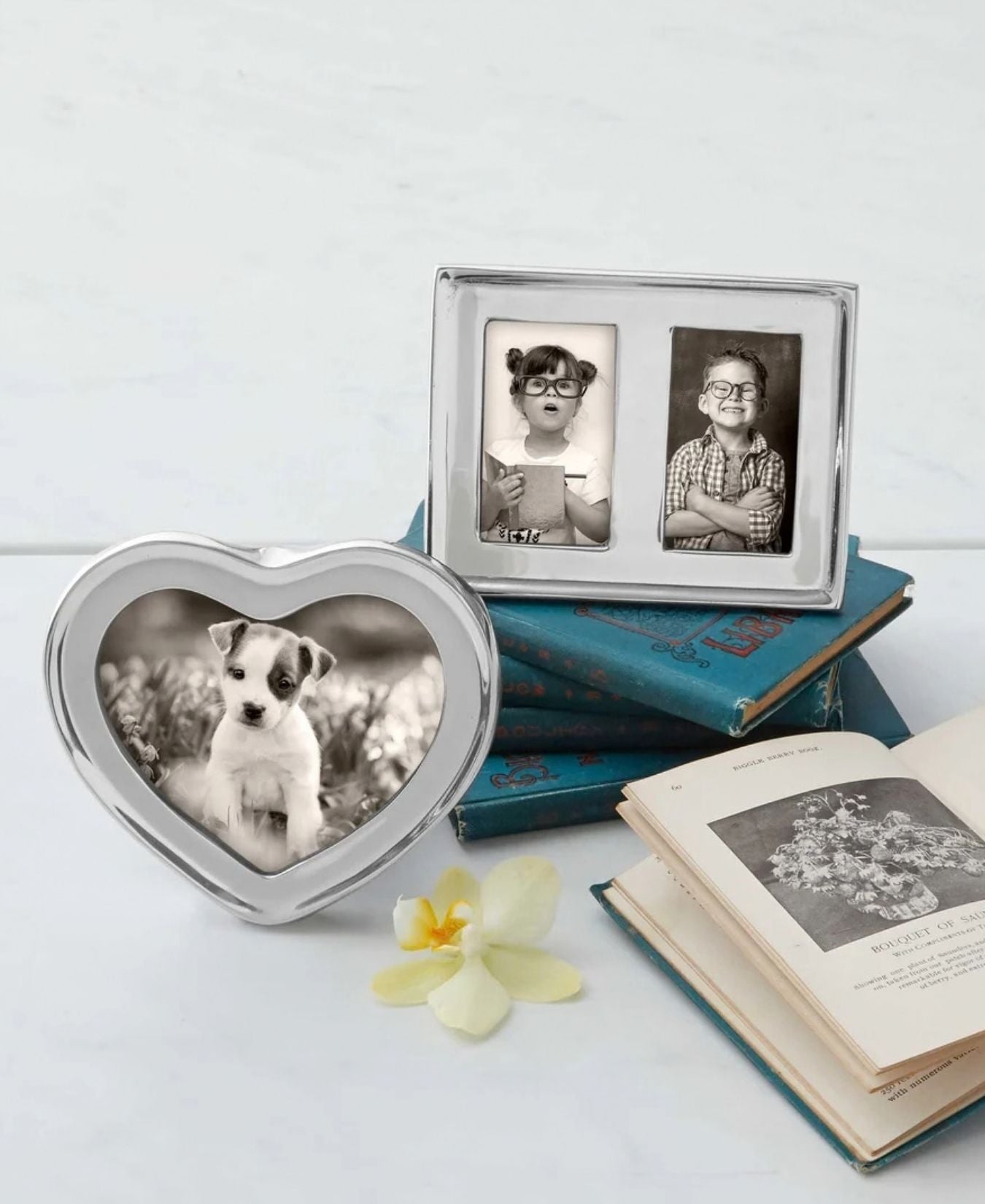 SignatureHeart4x6Frame-Mariposa-4506