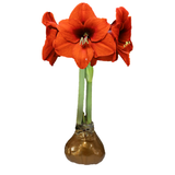 SovereignFlowerCopperLacquer_Let_EmBloom_SOCL-AT