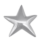 1902 Star Napkin Weight