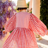 Taj Mini Dress Red Gingham