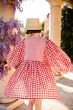Taj Mini Dress Red Gingham