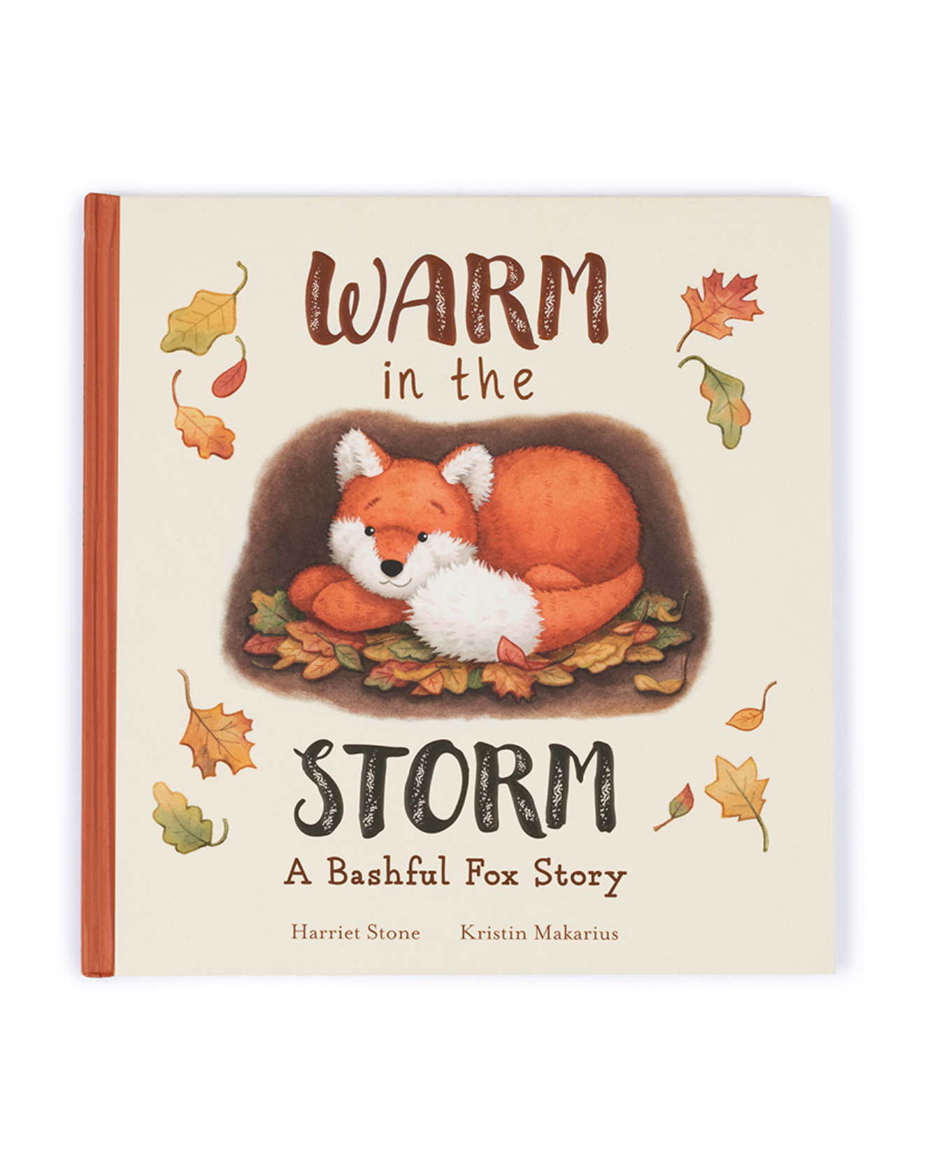 Warm in the Storm Book-Jellycat-BK4WTS