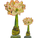 White Amaryllis Acrylic Flower | Small_Hodges Art and Design_KHA-199
