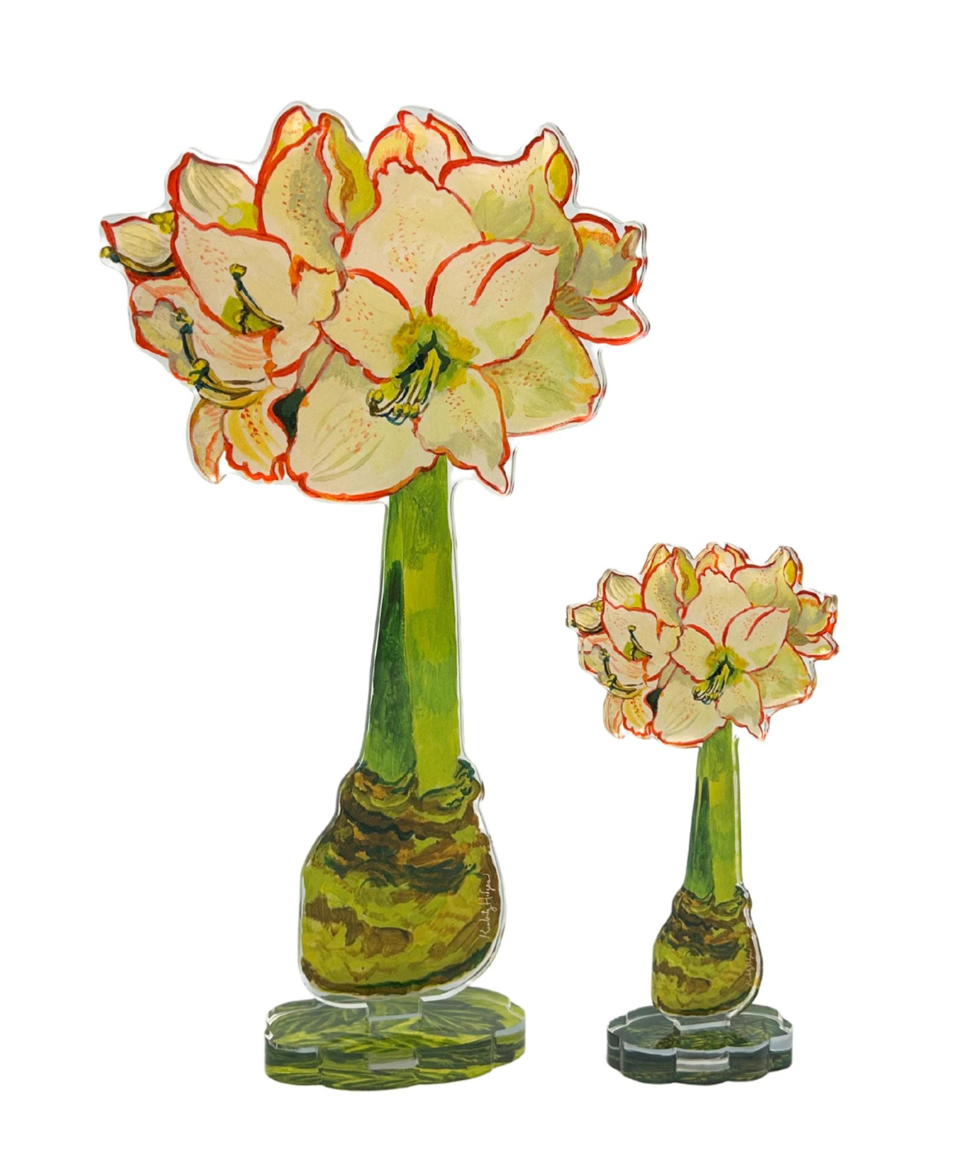 White Amaryllis Acrylic Flower | Small_Hodges Art and Design_KHA-199
