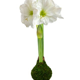 White Flower Moss Base_Let'EmBloom_WFMO-T