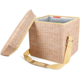Wicker Picnic Cooler Seat_Schauben_CD139