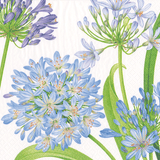 Agapanthus Garden Cocktail Napkin