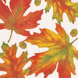 Autumn Hues White Cocktail Napkin