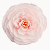 Cherry Blossom Heirloom Rose Soap | Large