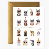 Cool Cats Birthday Card