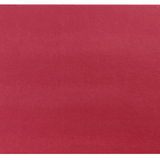Placemat Lizard Rectangle Set of 4