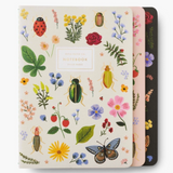 Assorted Set of 3 Curio Notebooks