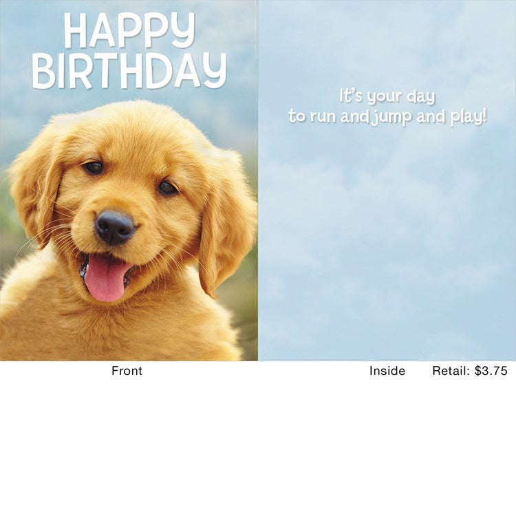 Little Birthday Pal Greeting Card