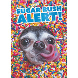 Puppy Sprinkles Greeting Card