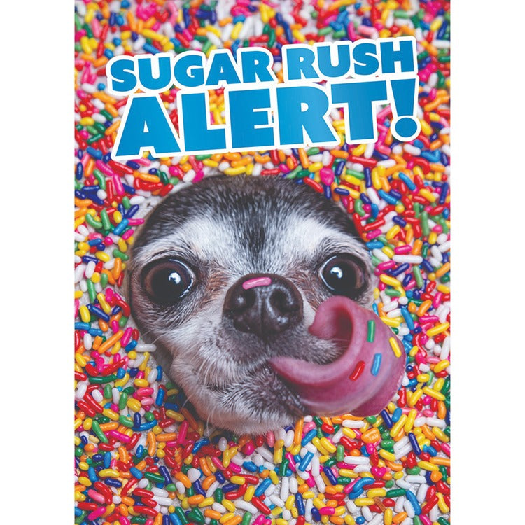 Puppy Sprinkles Greeting Card