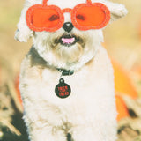 Trick-or-Treat Dog Greeting Card