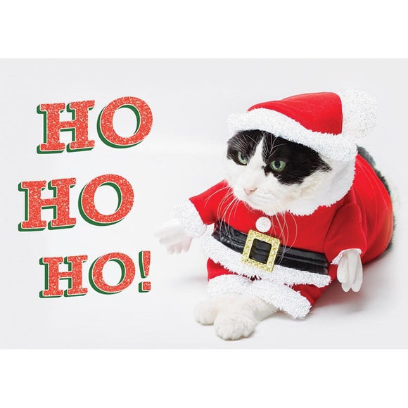 Dressed Up as Santa Cat Greeting Card