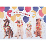 Bday Party Dogs Greeting Card