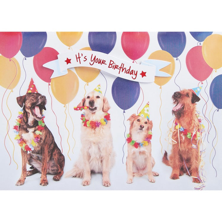 Bday Party Dogs Greeting Card
