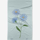 September Aster