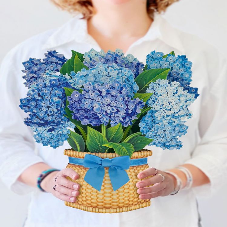Nantucket Hydrangea