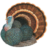 Die-Cut Heritage Turkey Placemat
