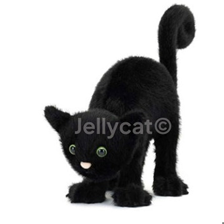 Spookipaws Cat 