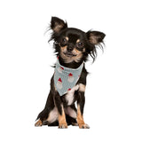 Jolly Santa Dog Bandana Misty Blue/True Red