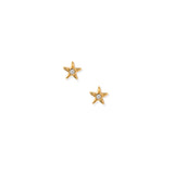 Screwback Stud Earrings - Scout Star
