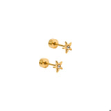 Screwback Stud Earrings - Scout Star