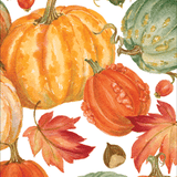 GT Pumpkin Field White