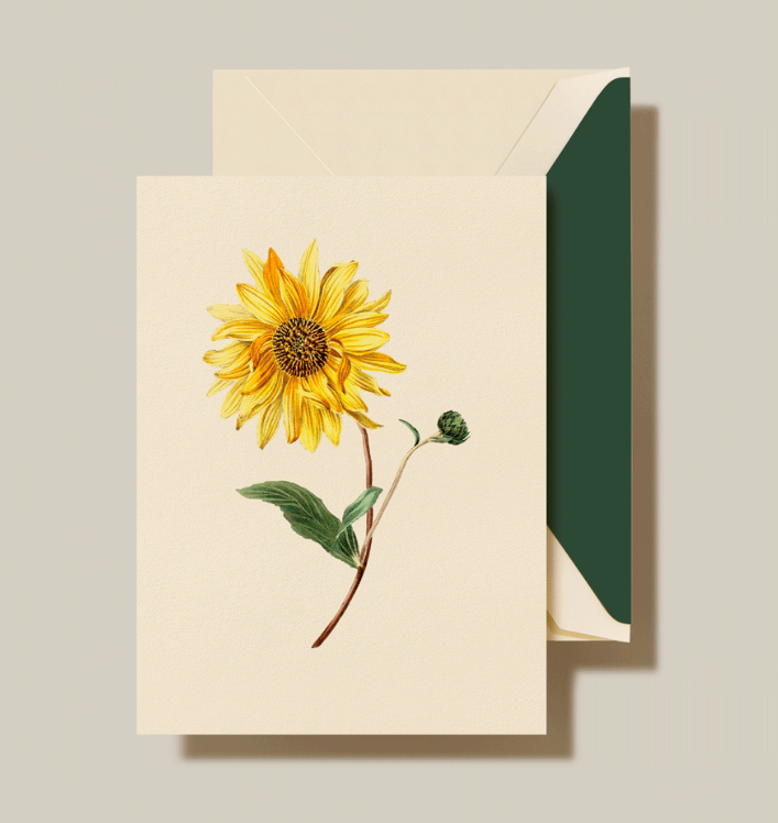 a card with a drawing of a sunflower