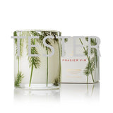 Frasier Fir Poured Candle, 6.5 oz Pine Needle, Tester