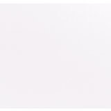 Placemat Ivory Lizard Rectangle Set of 4