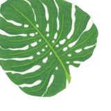 Die Cut Monstera