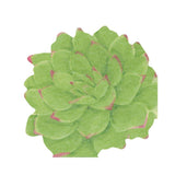 Die Cut Napkin Succulent