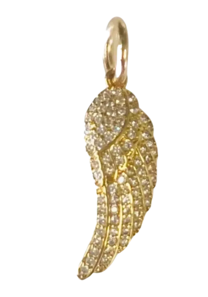 Angel Wing Charm