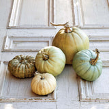 L'automne Pumpkin Collection Set of 5