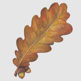 Autumn Leaf Table Accent
