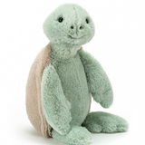 Bashful Turtle Medium
