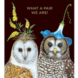 Best Friends Owls Card