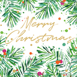 Christmas Card Box Christmas Greenery