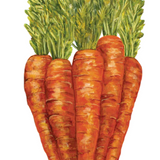Carrots Table Accent