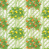 Wrap Citrus Topiaries White 30in X 8ft