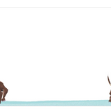 Correspondence Cards Doggy Paddle