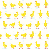 Wrap Ducks 30in X 5ft