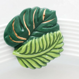 A278 Best Ferns Forever