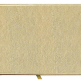 Guest Book Platinum Lizard