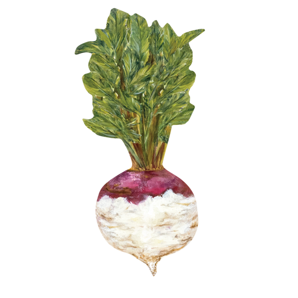 Turnip Table Accent